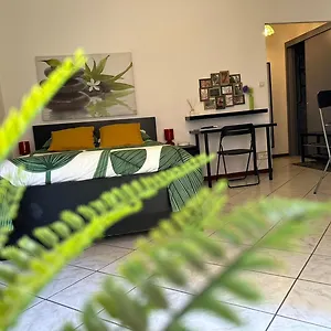Cosy & Zen Centre Appartement Hyères